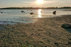 Äsa1