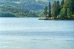 Bogstad2