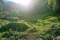 Buerbreen0