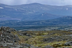 Dovrefjell5
