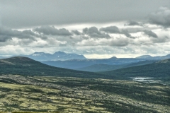 Dovrefjell7