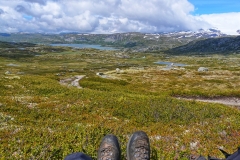 Hardangervidda11