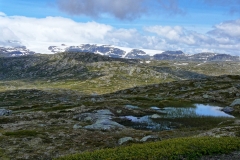 Hardangervidda12