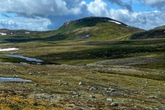 Hardangervidda17