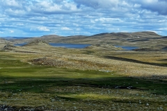 Hardangervidda18