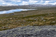 Hardangervidda22