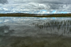 Hardangervidda23