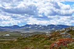 Hardangervidda25