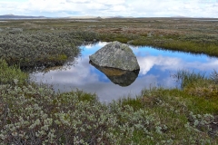 Hardangervidda28