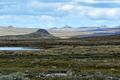 Hardangervidda29