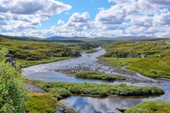 Hardangervidda33