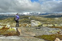 Hardangervidda8