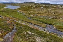 Hardangervidda9