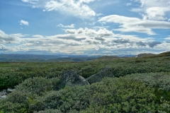 Prestholtseter5