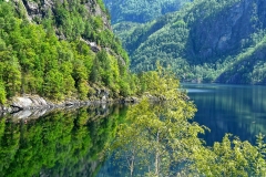 Ryfylkevegen1