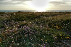 Strand_Hirtshals