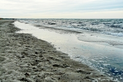 Väggerlöse2