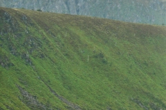 Vestvegoya2