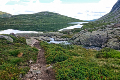Norwegen-20230803_0190_1_2_HDR