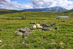 Norwegen-20230804_0239_40_41_HDR-vivid-colors