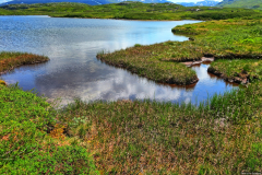 Norwegen-20230804_0242_3_4_HDR-vivid-colors
