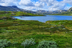 Norwegen-20230804_0257_8_9_HDR-vivid-colors