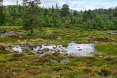 Norwegen-20230804_0281_2_3_HDR-vivid-colors