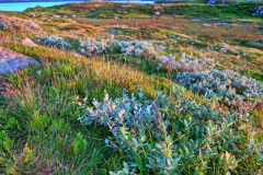 Norwegen-20230804_0365_6_7_HDR-vivid-colors