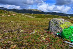 Norwegen-20230805_0326_7_8_HDR-vivid-colors