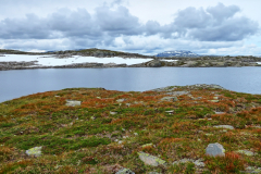 Norwegen-20230806_0457_8_9_HDR-vivid-colors