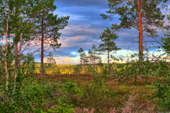 Norwegen-20230809_0583_4_5_HDR