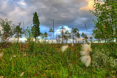 Norwegen-20230809_0586_7_8_HDR