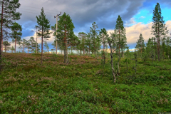 Norwegen-20230809_0595_6_7_HDR