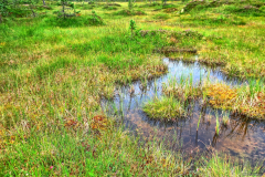 Norwegen-20230809_0613_4_5_HDR