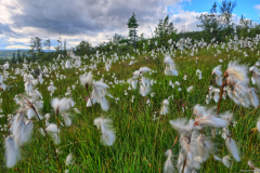 Norwegen-20230810_0706_7_8_HDR