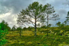Norwegen-20230815_1070_1_2_HDR