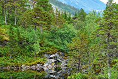 Norwegen-20230815_1130_1_2_HDR