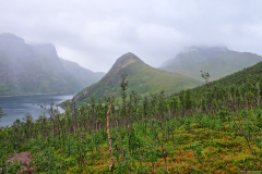 Norwegen-20230818_1331_2_3_HDR