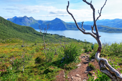 Norwegen-20230819_1444_5_6_HDR