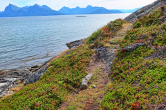 Norwegen-20230820_1541_2_3_HDR