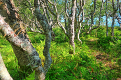 Norwegen-20230820_1547_8_9_HDR