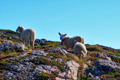 Norwegen-20230820_1556_7_8_HDR