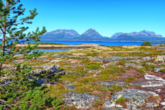 Norwegen-20230820_1568_69_70_HDR