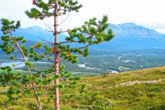Norwegen-20230821_1808_09_10_HDR