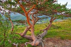 Norwegen-20230822_1841_2_3_HDR