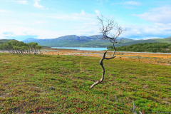 Norwegen-20230823_1957_8_9_HDR
