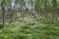 Norwegen-20230823_1960_1_2_HDR