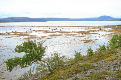 Norwegen-20230823_1984_5_6_HDR