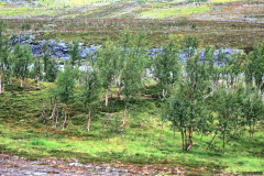 Norwegen-20230823_2008_09_10_HDR