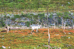 Norwegen-20230823_2020_1_2_HDR